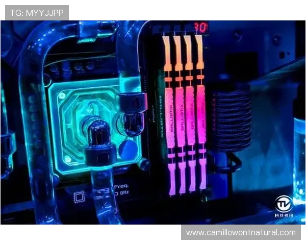 SA视讯登录入口最新官方入口地址，安全稳定保障玩家顺畅体验