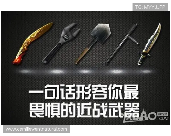 AG真人百家家乐最新优惠活动介绍助你享受更多游戏福利与奖励