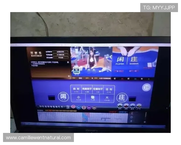 利用百家乐和21点的概率优势，学习专业玩家的投注技巧与实战经验