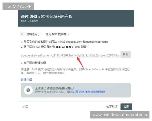 云顶集团网址下载安装常见问题及解决方案详尽解析