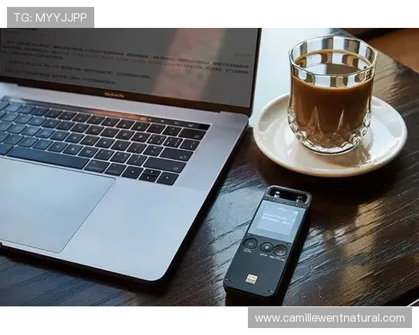 优化4008云顶浏览器的设置，提升浏览速度和页面加载效率