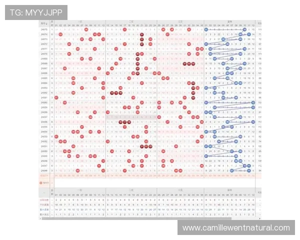 如何利用百家乐路图进行趋势分析：提高赢钱概率的实战经验分享