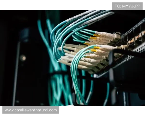 凯发真人k8如何保障玩家资金安全与隐私保护措施