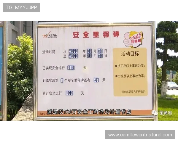 天博真人体育安全保障措施全揭秘，保障用户资金与个人信息安全