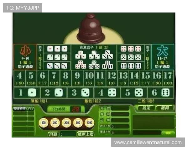 掌握百家乐经典投注策略提升你的赢钱概率与实战技巧