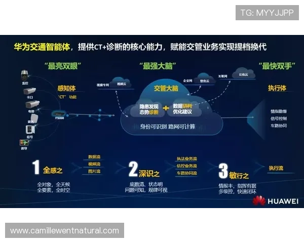 探索PA真人厅的多样游戏玩法与高品质直播技术全面解析