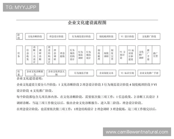 深入了解AG厅总部有限公司的企业文化与创新驱动发展路径