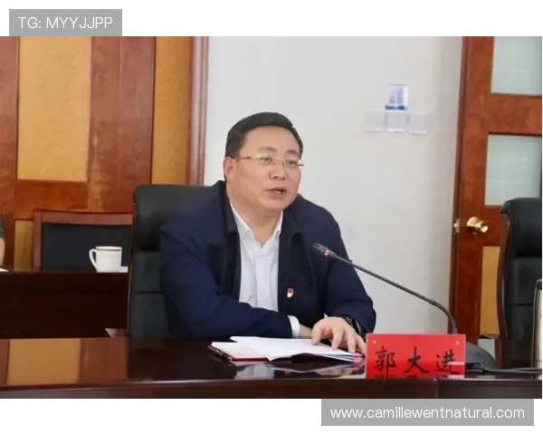 澳门百家乐攻略新手入门到高手进阶的完整学习路径指南