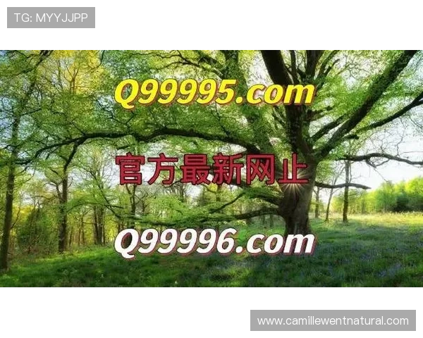 AG真人最新版网站免费试玩版上线，零门槛体验多样真人娱乐游戏