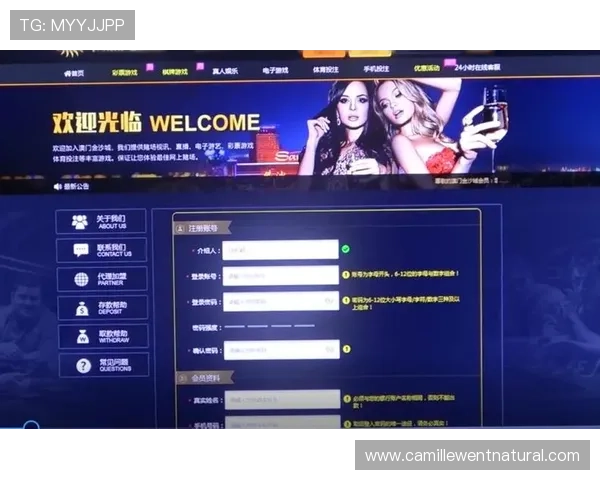 百家樂娛樂城如何选择正规平台保障你的资金安全与游戏体验