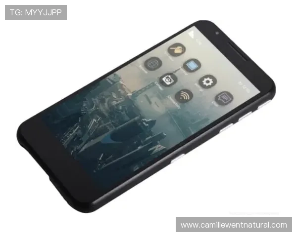 全面解析K8视讯手机的安全保障措施,保障用户隐私与数据安全