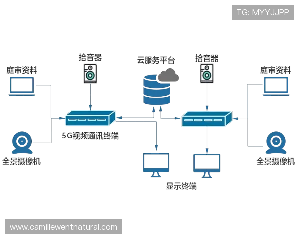 5g视讯官网在远程医疗行业中的应用前景与实际操作指南