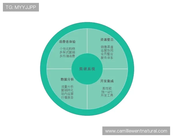 AG视讯合作平台如何实现多渠道盈利与稳定发展的详细策略解析