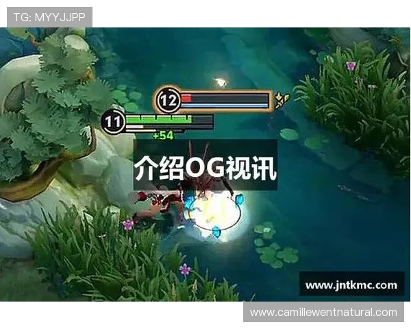 OG视讯官方旗舰店优质游戏推荐与玩法攻略详解帮助新手玩家快速上手畅享精彩游戏内容的实用指南