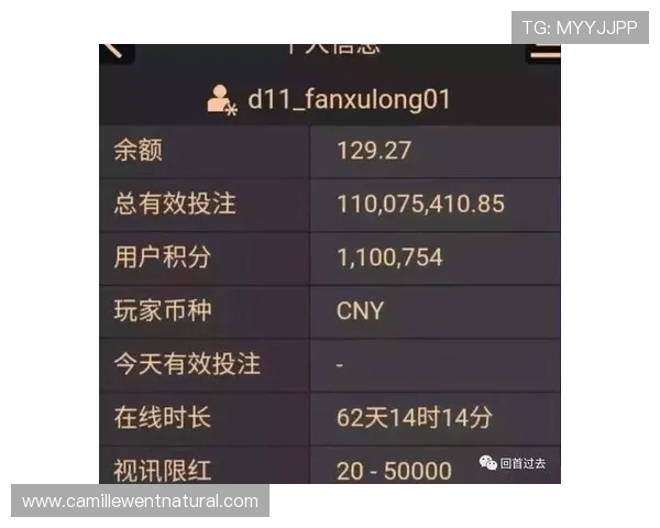 提升AG百家乐赢钱概率的策略与技巧全面解析